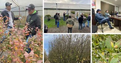 Seipasa winds up its technical tour offering assessment and support for local producers in Chile