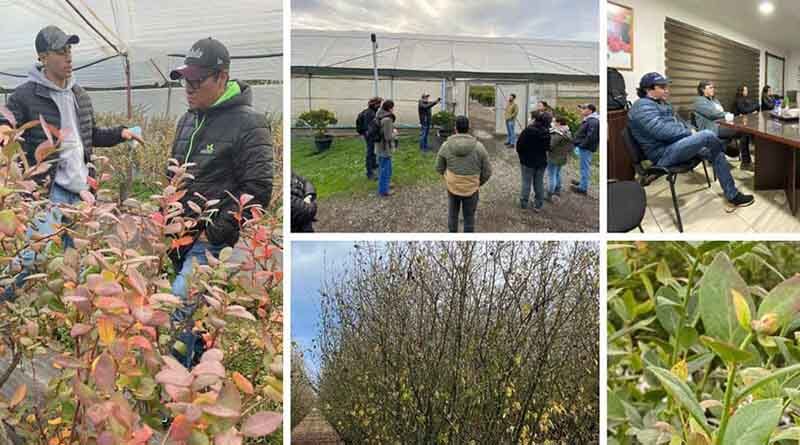 Seipasa winds up its technical tour offering assessment and support for local producers in Chile