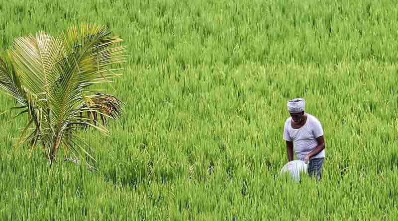 Cabinet approves Minimum Support Prices for all Kharif crops for Marketing Season 2022-23