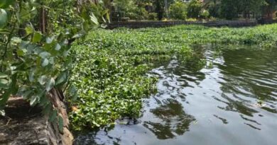 World Environment Day: Making Waste Weeds Profitable an AI-Based tool from the Quiver of ICRISAT