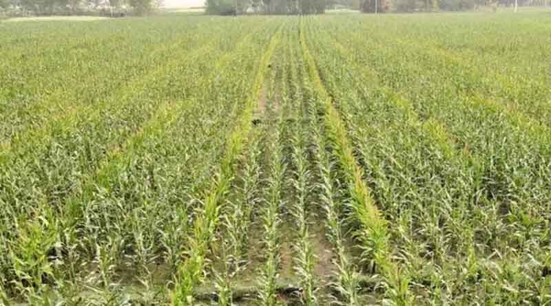 Haryana chief minister, Mr. Manohar lal, while interacting with progressive farmers of haryana