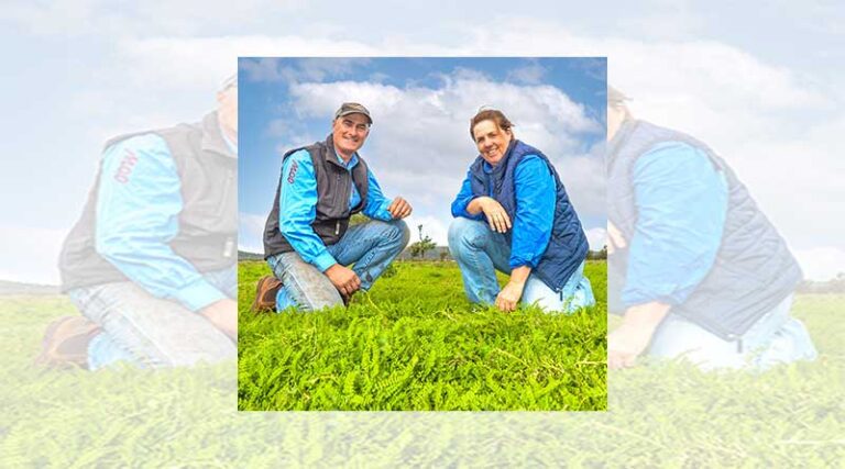 Northern: Committed growers support hardy pasture legume revolution