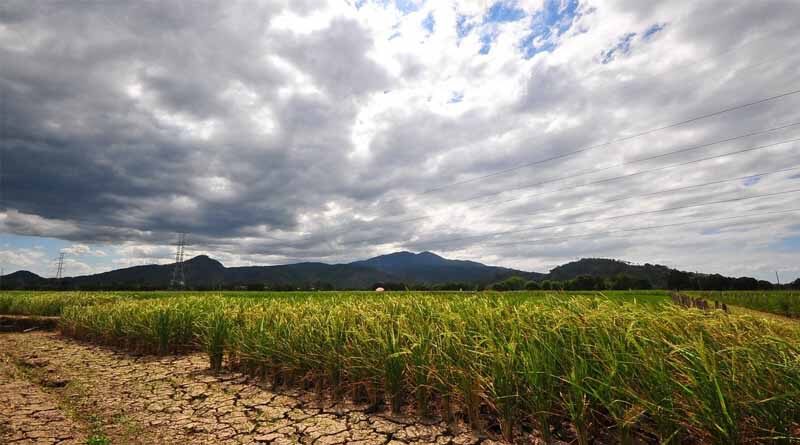 Developing a New Paradigm for Partnerships: Together for Stronger Food Systems