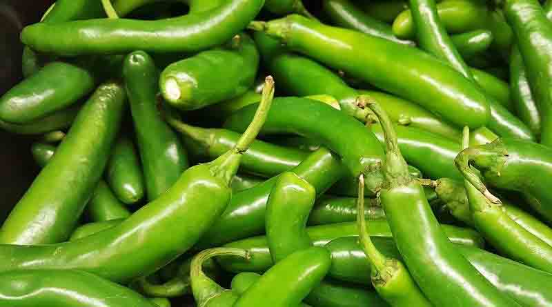 Chilli Hybrid ARKA Tejasvi [F1]