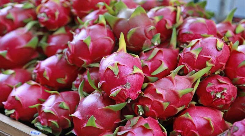 Farmers can earn good profit by cultivating this fruit