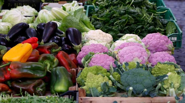 Bold, scaled, collaborative actions are needed to give everyone access to enough nutritious food, FAO Director-General says