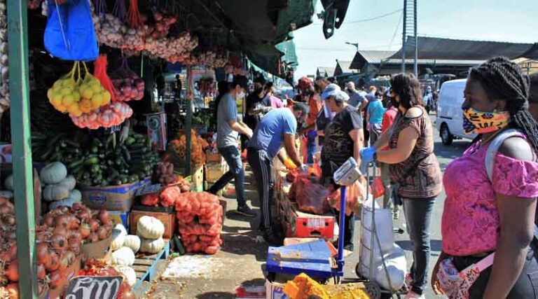 G20: FAO says global threats to agrifood systems need complex approach