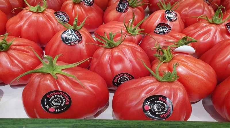 Tomato Rosamunda on shelves in Lidl shops all over Poland
