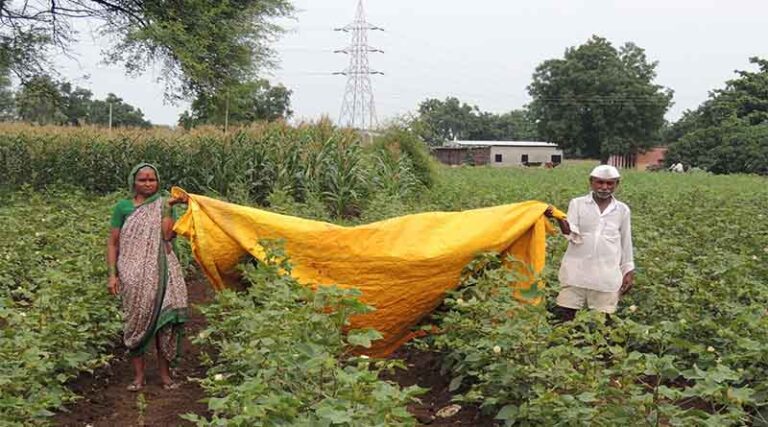 WOTR organizes educational webinar series; guides farmers to combat Irregular Monsoon
