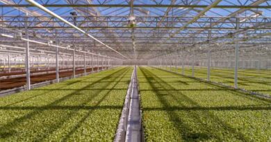 Australia: The latest in grains research headed to Queensland