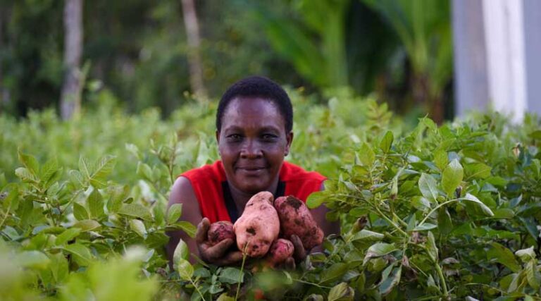 CGIAR Annual Performance Report 2021 Now Available Online