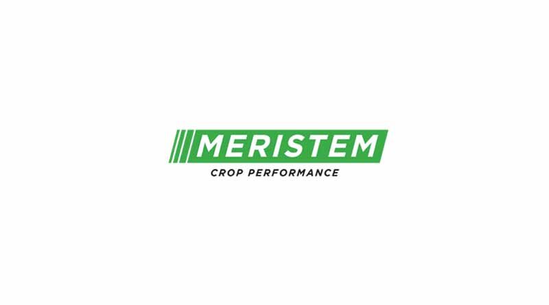 John Gertz Joins Meristem Team as Chief Operating Officer