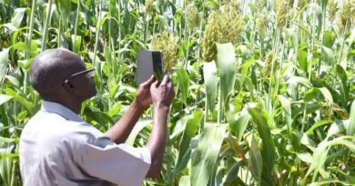 ICRISAT and UK experts discuss policies & alliances to mainstream climate-resilient and sustainable agriculture