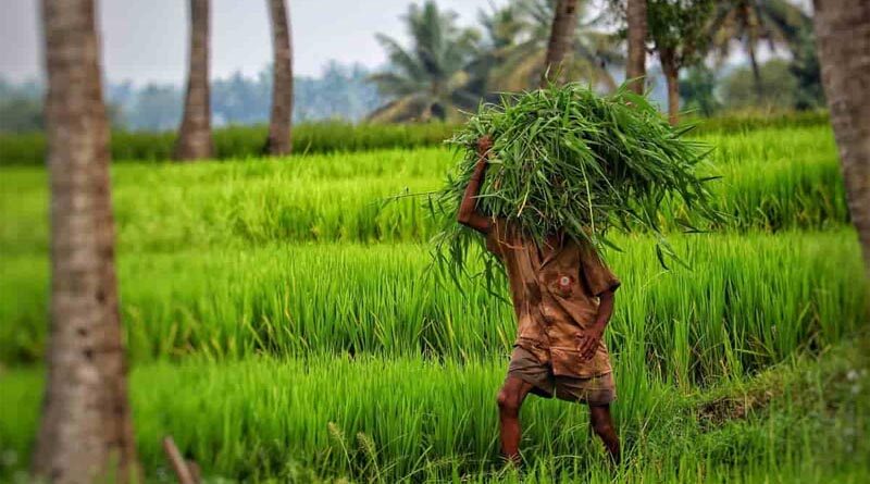Schemes and Programmes to attract youth in agriculture