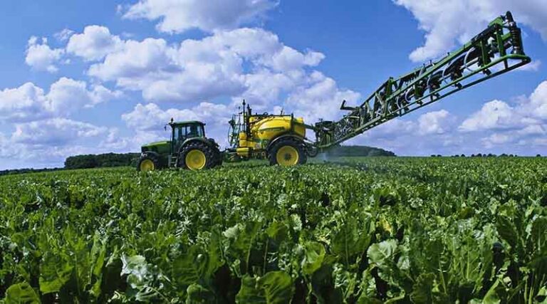 Green leaf protection to boost late season sugar