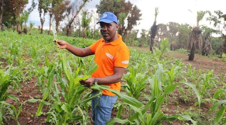 CABI contributes to BBC World Service programme exploring impacts of climate change