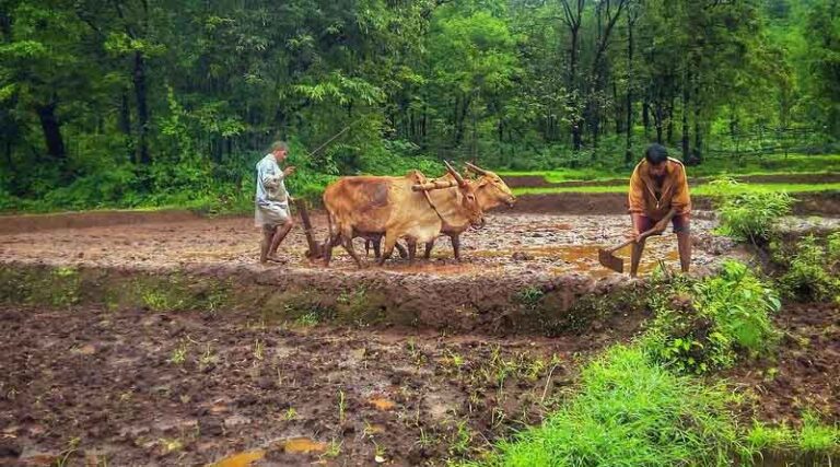 Benefits for India farmers by Government of India on availing loan facility
