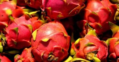28 lakh hectares under exotic fruit cultivation in India