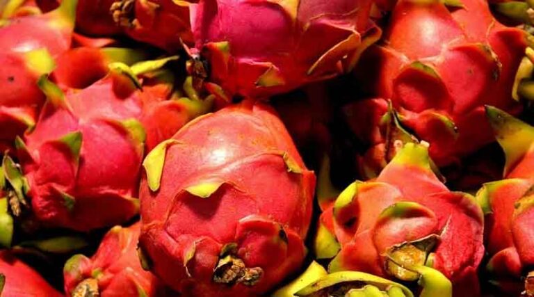 28 lakh hectares under exotic fruit cultivation in India