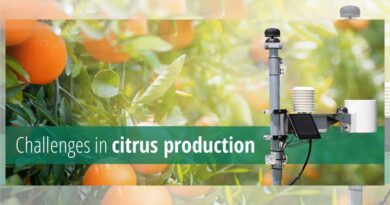 Challenges in citrus production
