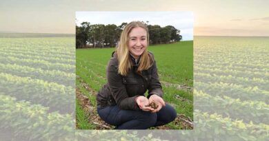 Australia: Unlocking the hidden potential of ironstone gravel soils
