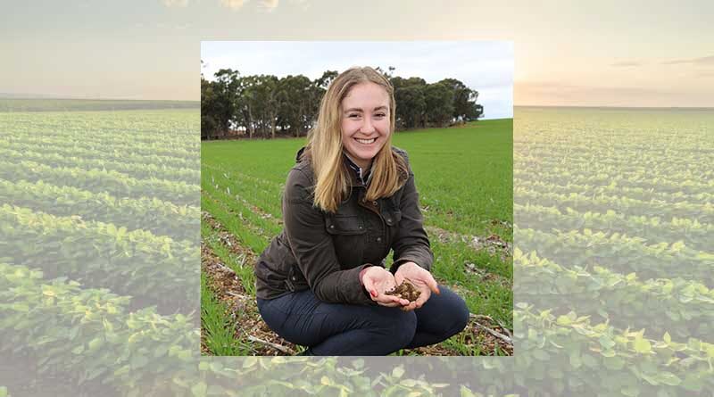 Australia: Unlocking the hidden potential of ironstone gravel soils