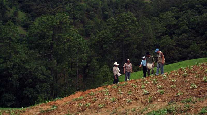 FAO to boost soil nutrient mapping in Central America and sub-Saharan Africa