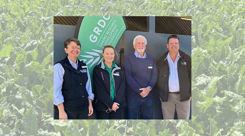 Australia: GRDC kicks off regional grains updates series in Hyden