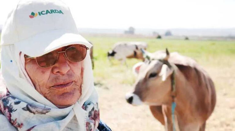 Securing a legacy for the ifad conservation agriculture and crop livestock project