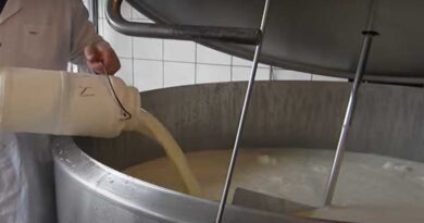 HAP to Increase Milk Collection in Andhra Pradesh, Telangana and Maharashtra