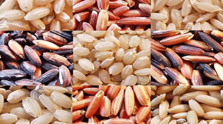 Vietnam increases rice export market share in UK