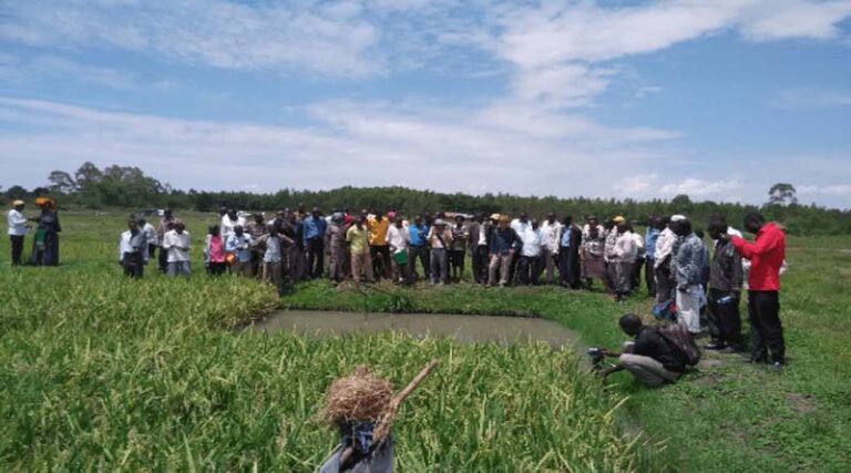 China-FAO SSC Programme Attracts Contribution from Uganda
