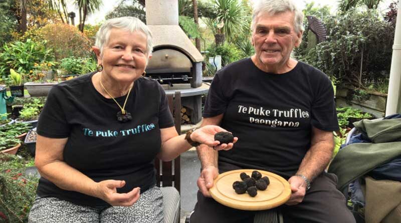 Sniffing out New Zealand's black gold