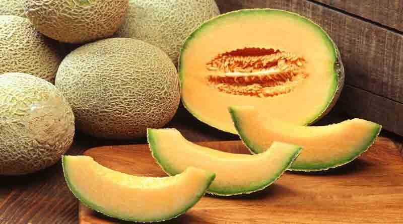 Muskmelon Variety ARKA Siri-TFL