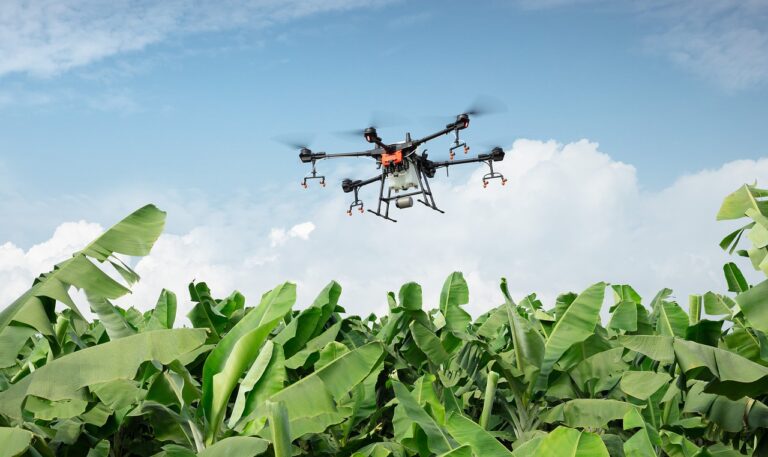 Australian agriculture faces a wet spring
