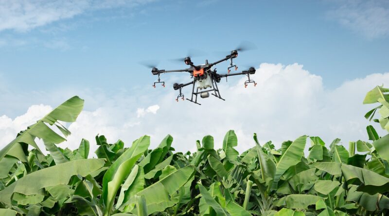 Syngenta India gets approval to spray its fungicide Amistar Top through drone