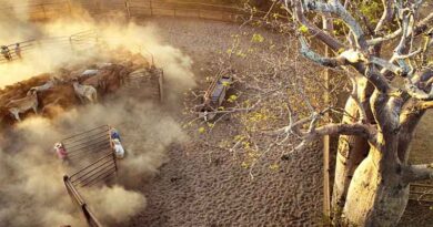 Australia: Farming in the Kimberley