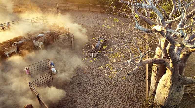 Australia: Farming in the Kimberley