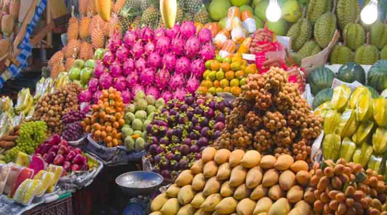 Horticulture Production in 2021-22 estimated 341.63 Million Tonne