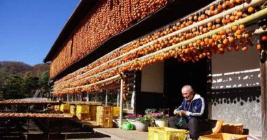 Two new sites in Japan designated FAO Globally Important Agricultural Heritage Systems