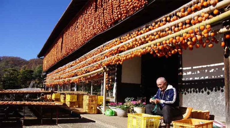 Two new sites in Japan designated FAO Globally Important Agricultural Heritage Systems