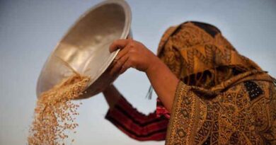 Afghanistan: FAO intensifies support to most vulnerable smallholder farmers affected by drought and earthquake