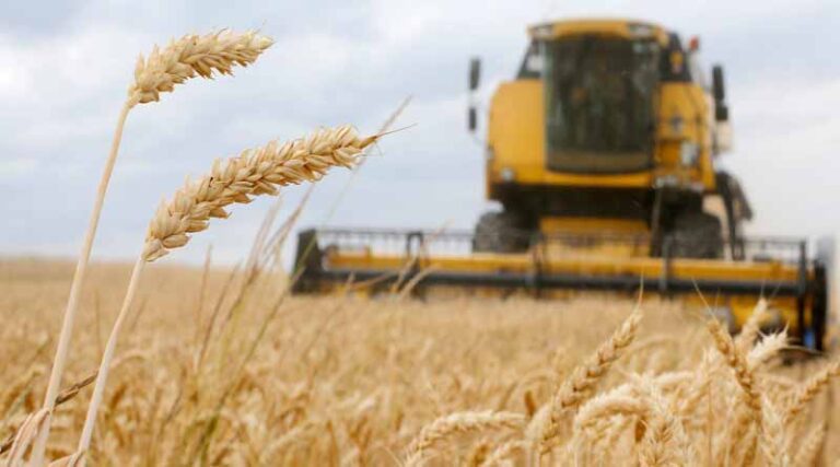 Benchmark FAO Food Price Index shows dip in international prices of cereals, vegetable oils and sugar