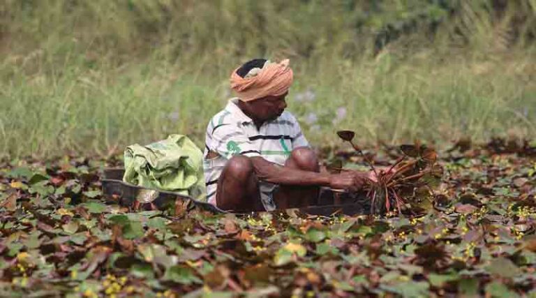This is what Indian farmers are doing to double their income