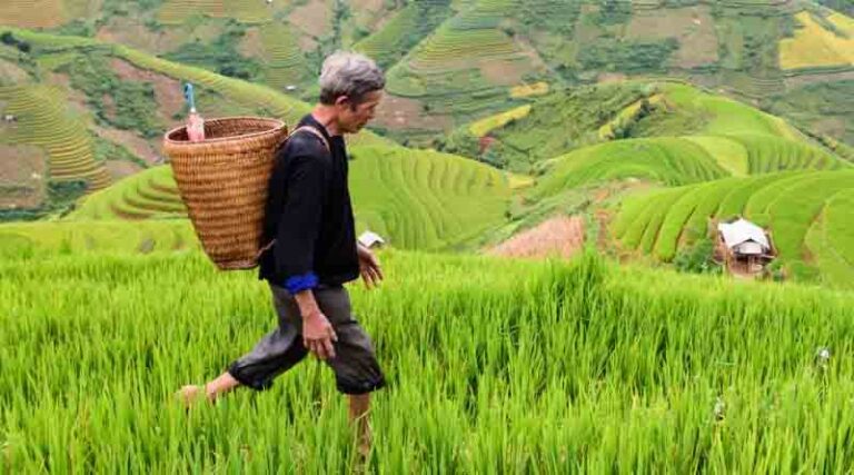 Measures counter food security risks