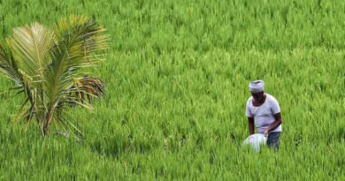Platform of Platforms (PoPs) under e-NAM to be launched to promote trade & Marketing
