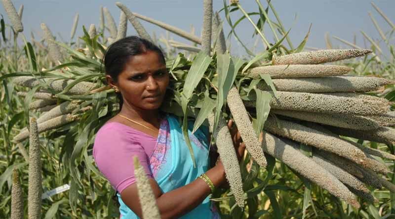 Giving Smallholder Farmers Due Recognition