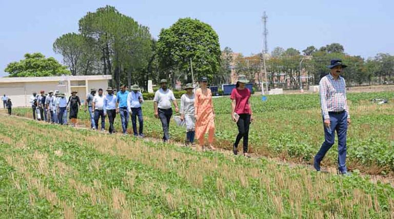 Researchers plan transformation of agrifood systems in South Asia