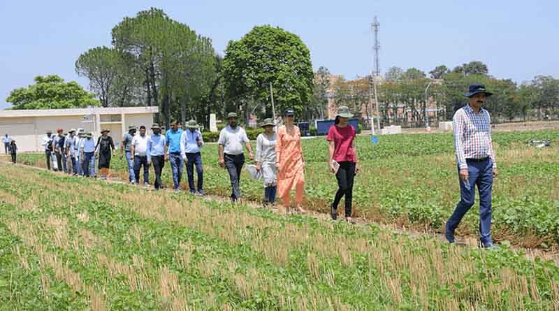 Researchers plan transformation of agrifood systems in South Asia