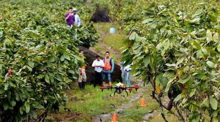 XAG Drone Supports Cacao Farm to Fight Diseases during Rainy Spells